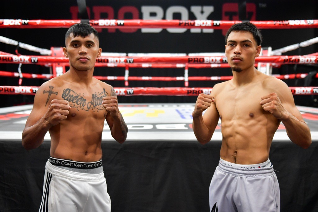 Whitesands boxing knockouts or another ProBox event