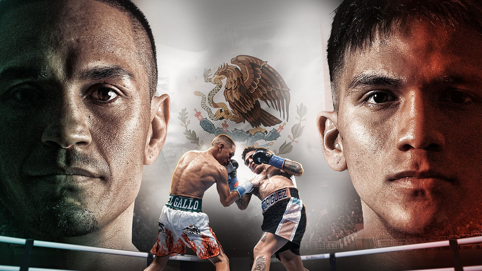 Juan Francisco Estrada is not done yet