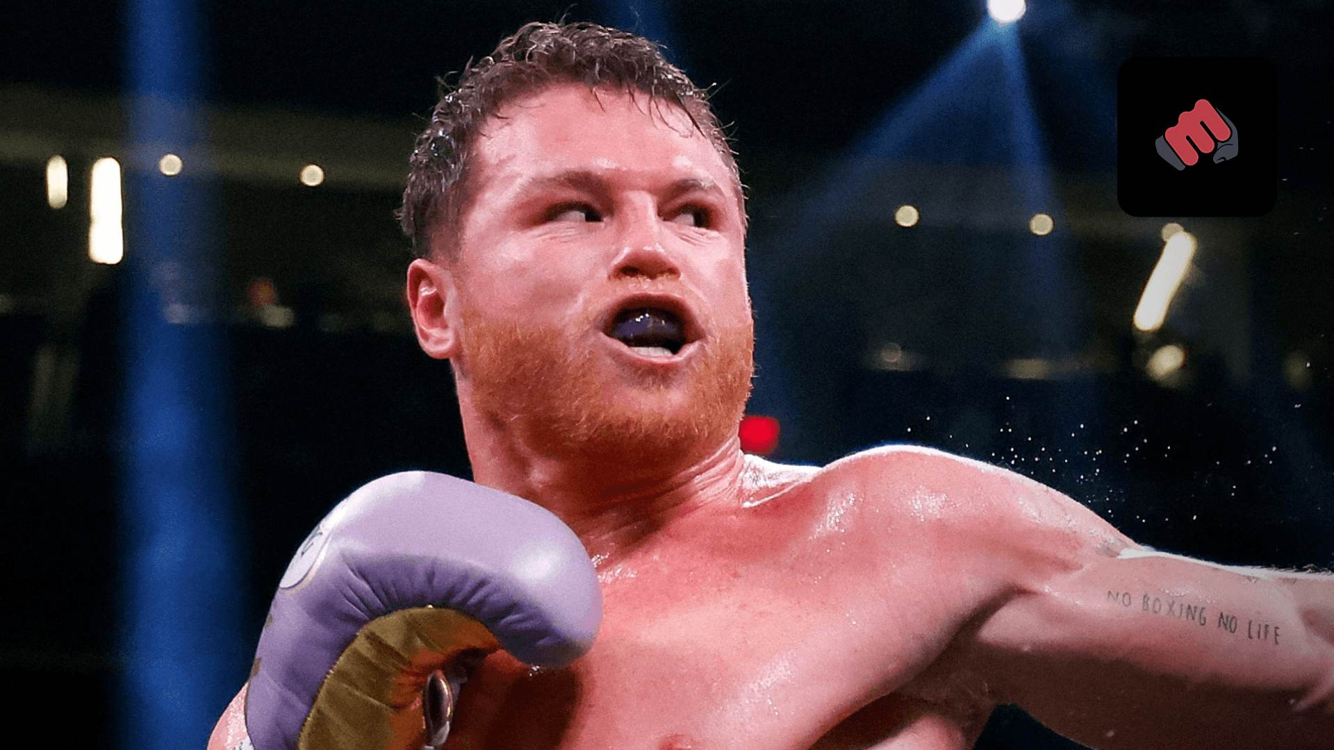 Terence knows why Canelo avoids Benavidez